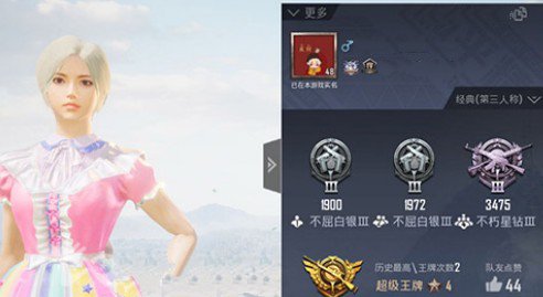 和平精英昵称被改成user怎么回事?和平精英昵称被改成user讲解截图