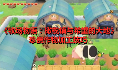 牧场物语：橄榄镇与希望的大地珍贵作物怎么加工？牧场物语珍贵作物加工技巧