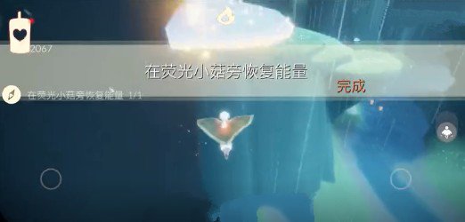 光遇荧光小菇什么位置?光遇荧光小菇恢复能量与荧光森林冥想攻略截图