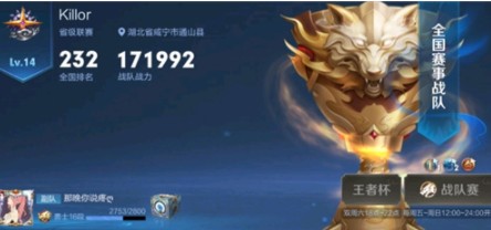 王者荣耀全国战队为什么不显示?王者荣耀显示全国战队称号攻略截图