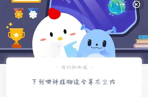哪种植物适合养在室内?蚂蚁庄园3月25答案