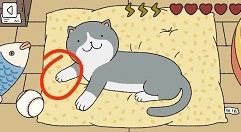 萌宅物语怎么摸猫 萌宅物语摸猫顺序攻略