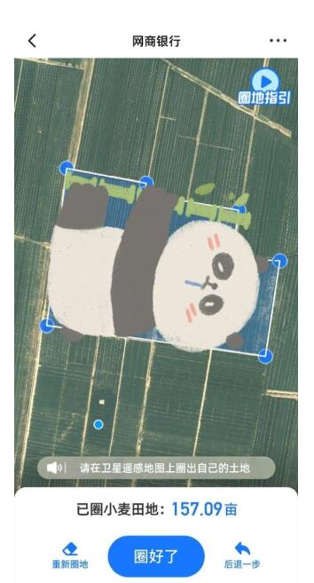 支付宝大山雀名字是什么 支付宝大山雀名字介绍分享截图