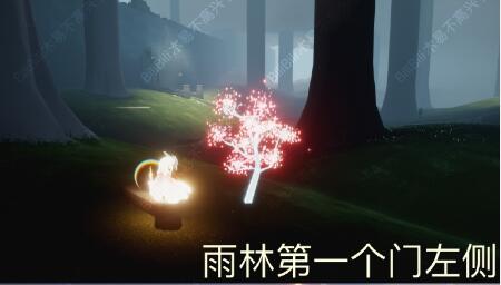 光遇花之日活动彩蛋樱花树在哪？光遇花之日活动彩蛋樱花树位置介绍截图