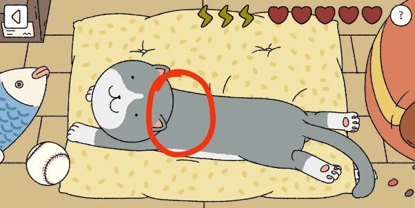 萌宅物语怎么摸猫 萌宅物语摸猫顺序攻略截图