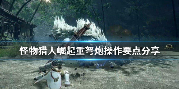 怪物猎人崛起重弩炮怎么操作?怪物猎人崛起重弩炮操作技巧