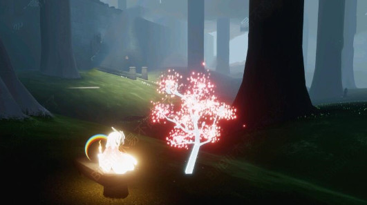 光遇坐赏雨林小树苗任务怎么做？光遇坐赏雨林小树苗任务完成攻略截图