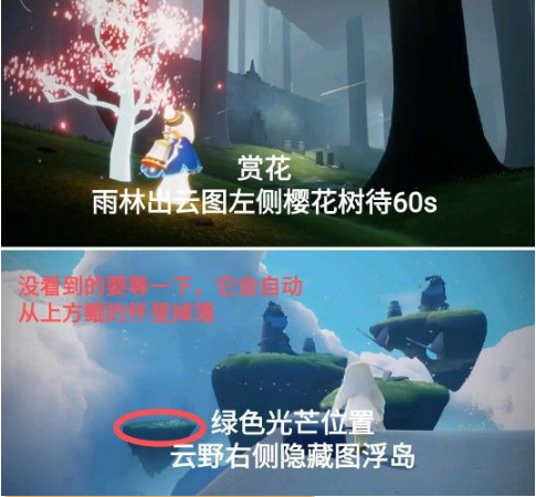 光遇3.30每日任务怎么做？光遇3.30每日任务完成攻略截图