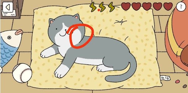 萌宅物语怎么摸猫 萌宅物语摸猫顺序攻略截图