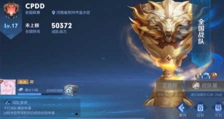 王者荣耀全国战队为什么不显示?王者荣耀显示全国战队称号攻略截图