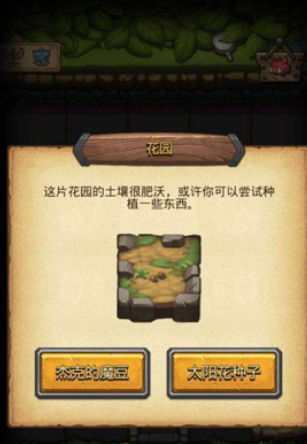 不思议迷宫太阳花种子种在哪?不思议迷宫太阳花种子种植位置介绍截图
