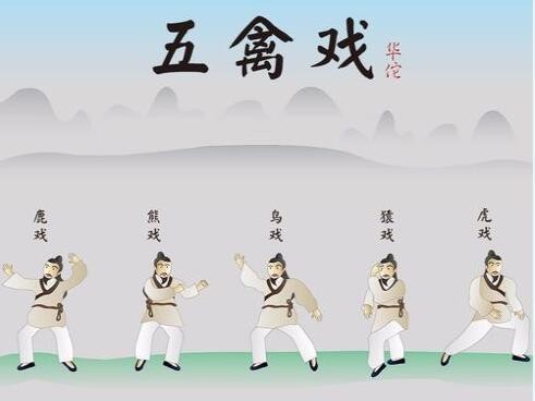 我国古代健身功法五禽戏是模仿了?支付宝蚂蚁庄园5月23日答案截图