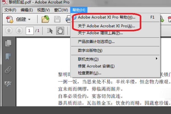 adobe acrobat x pro怎么编辑PDF内容?adobe acrobat x pro编辑PDF方法截图