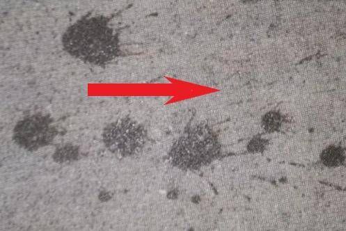 犯罪大师荷兰公寓杀人案答案是什么?犯罪大师荷兰公寓杀人案答案解析截图