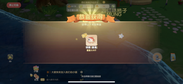 摩尔庄园手游锦鲤怎么钓 摩尔庄园锦鲤在哪钓截图