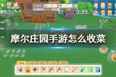 摩尔庄园手游自动收菜方法 摩尔庄园怎么收菜