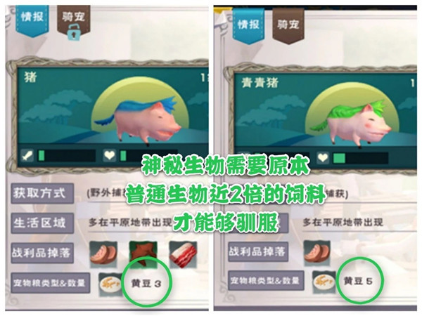 创造与魔法S8贝雅花园第二周任务怎么完成？创造与魔法S8贝雅花园第二周任务完成攻略截图