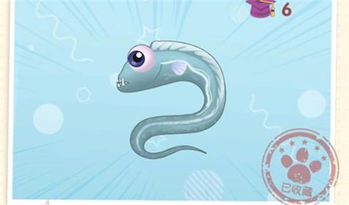 摩尔庄园手游带鱼几点钓 摩尔庄园手游带鱼刷新时间