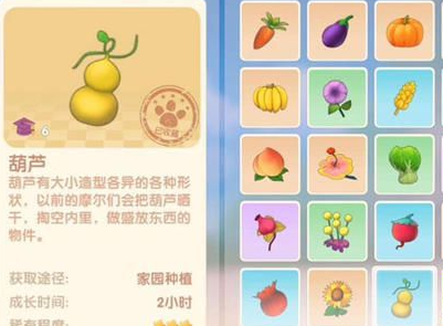 摩尔庄园手游葫芦怎么种？摩尔庄园手游葫芦种植方法截图