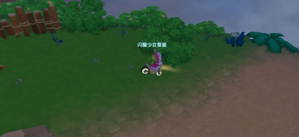 摩尔庄园黑色浆果在哪里？摩尔庄园黑色浆果位置介绍截图