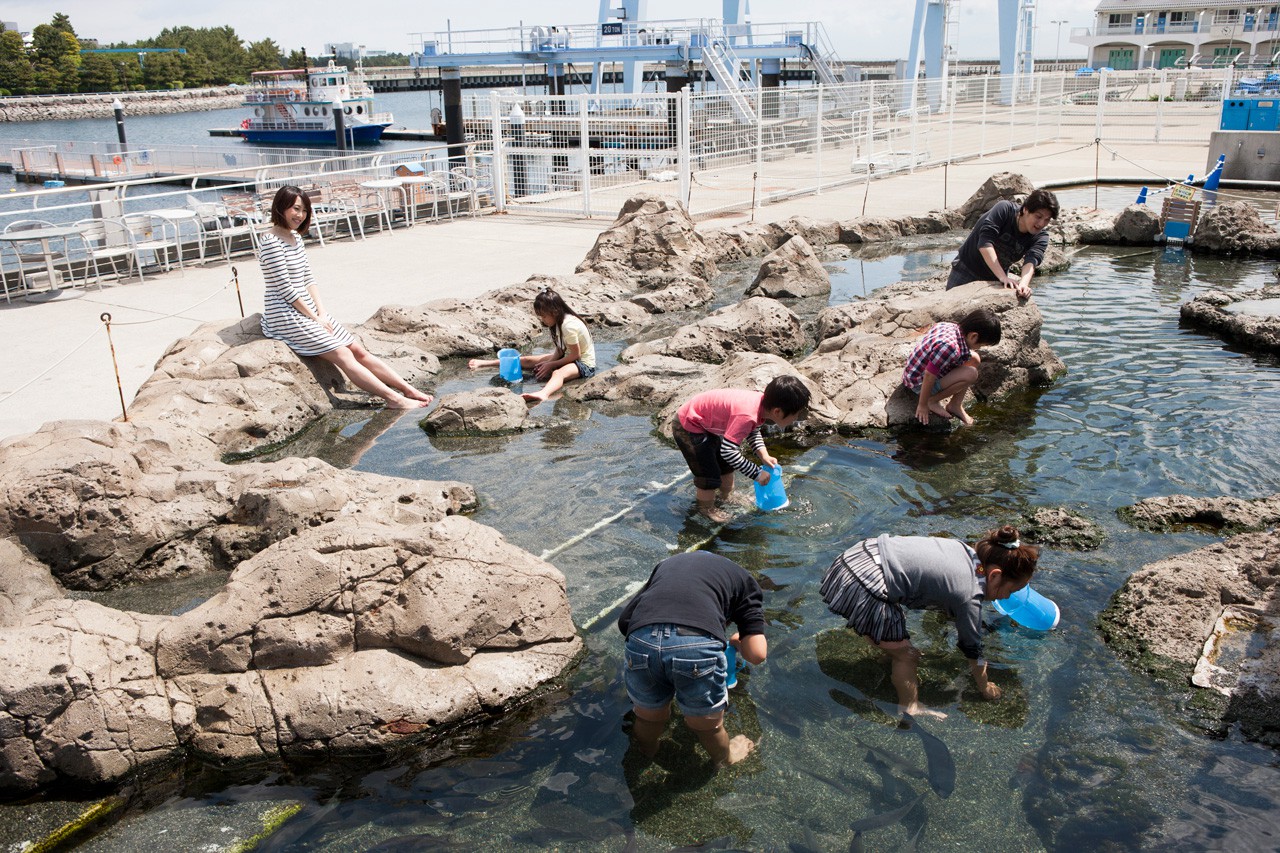 《集合啦！动物森友会》联动横滨八景岛海洋乐园举办限时“海洋生物交流展”截图