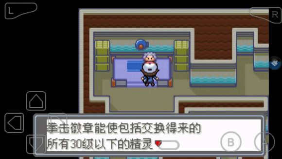 口袋妖怪永恒的光明怎么玩？口袋妖怪永恒的光明玩法详解截图