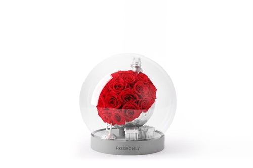 《和平精英》联动ROSEONLY限量联名产品七夕上线 吉莉精美海报赏截图