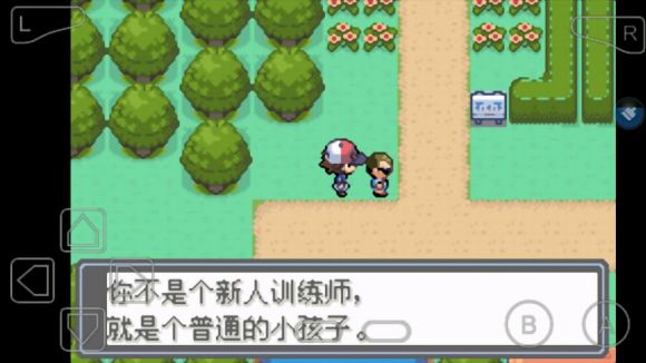 口袋妖怪永恒的光明怎么玩？口袋妖怪永恒的光明玩法详解截图