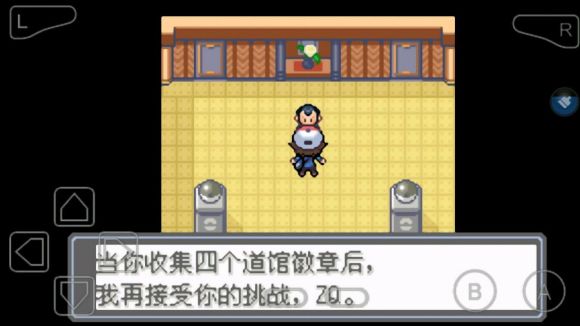 口袋妖怪永恒的光明怎么玩？口袋妖怪永恒的光明玩法详解截图