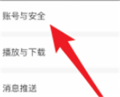 爱奇艺账号被他人登陆了怎么办?爱奇艺账号被他人登陆了处理方法截图