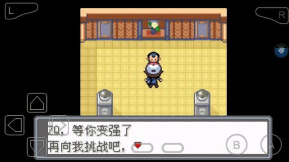 口袋妖怪永恒的光明怎么玩？口袋妖怪永恒的光明玩法详解截图