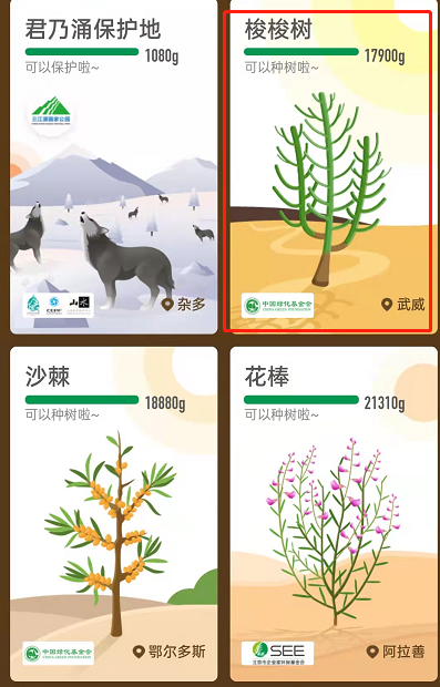 蚂蚁森林怎么获取已种树永久皮肤?支付宝蚂蚁森林获取已种树永久皮肤的方法截图