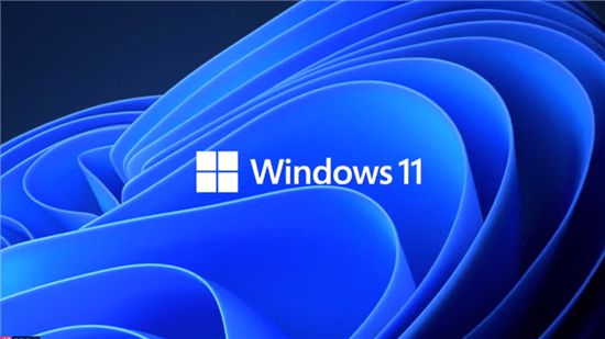Windows 11怎么通过减少磁盘占用空间提升性能？Windows 11通过减少磁盘占用空间提升性能教程