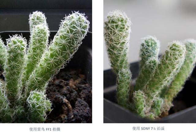 雷鸟FF1拍照性能好吗?雷鸟FF1拍照性能介绍截图