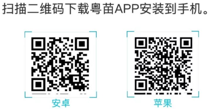 粤苗app怎么使用?粤苗app使用方法截图