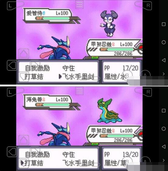 口袋妖怪究极绿宝石5甲贺忍蛙怎么获得?口袋妖怪究极绿宝石5甲贺忍蛙获得方法截图