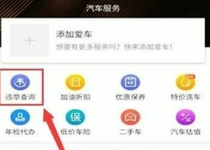 懂车帝违章在哪里查?懂车帝查询违章操作方法截图