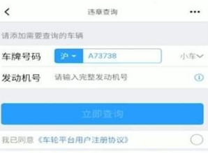 懂车帝违章在哪里查?懂车帝查询违章操作方法截图