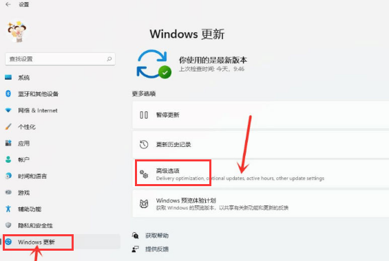 Windows11怎么开放资源共享？Windows11打开传递优化功能教程截图