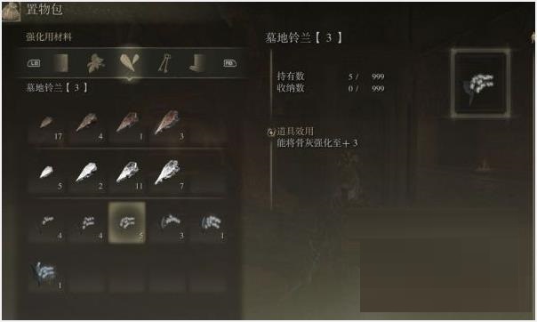艾尔登法环双贤魔法师的骨灰如何获取？艾尔登法环双贤魔法师的骨灰获取攻略截图