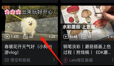 哔哩哔哩如何双击关闭弹幕?哔哩哔哩双击关闭弹幕方法步骤