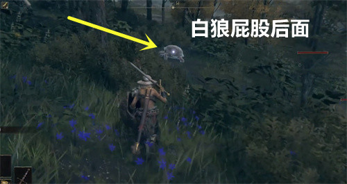 艾尔登法环三只睿智兽物在哪里?艾尔登法环三只睿智兽物位置介绍截图