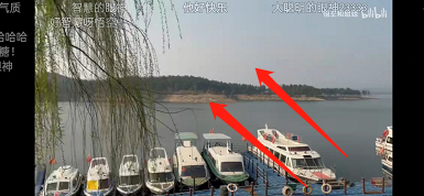 哔哩哔哩如何双击关闭弹幕?哔哩哔哩双击关闭弹幕方法步骤截图