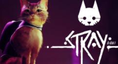 第三人称猫冒险游戏《Stray》2022年发售 登陆PS4、PS5和PC