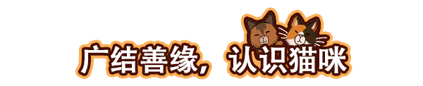 猫咖模拟经营游戏《猫咖经理》登陆Steam 首周特惠价56元截图