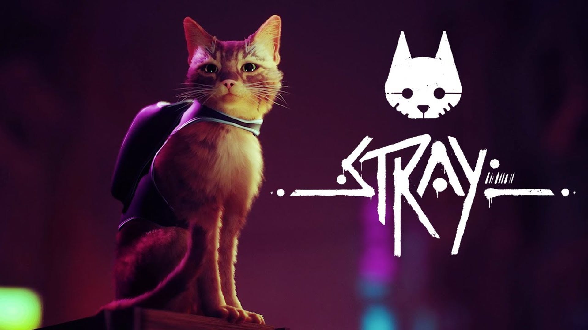 第三人称猫冒险游戏《Stray》2022年发售 登陆PS4、PS5和PC截图