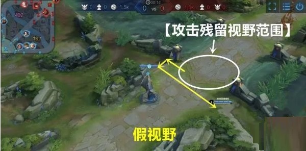 王者荣耀假视野怎么给?王者荣耀假视野使用攻略截图