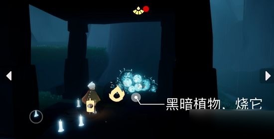 光遇5月12日每日任务怎么完成?光遇5月12日每日任务完成攻略截图