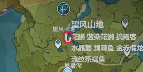 原神金赤假龙怎么获得?原神金赤假龙获得攻略截图