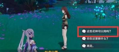 原神一袋花种怎么用?原神一袋花种用法攻略截图